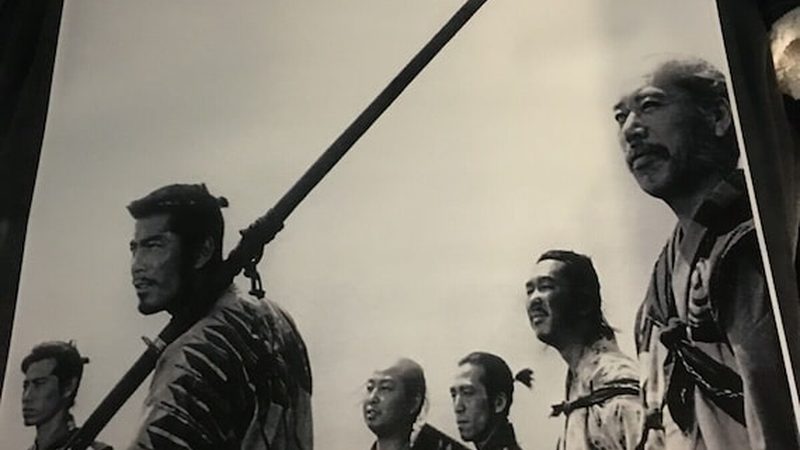 高速公路绿化隔离带：如何打造生态与美观并重的绿色屏障**
