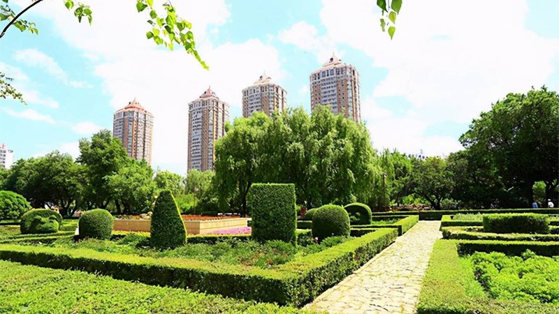 长期绿植租赁与买断：哪种方式更经济实惠？**