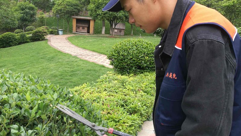 屋顶绿化加盟代理：揭秘十大品牌背后的秘密**