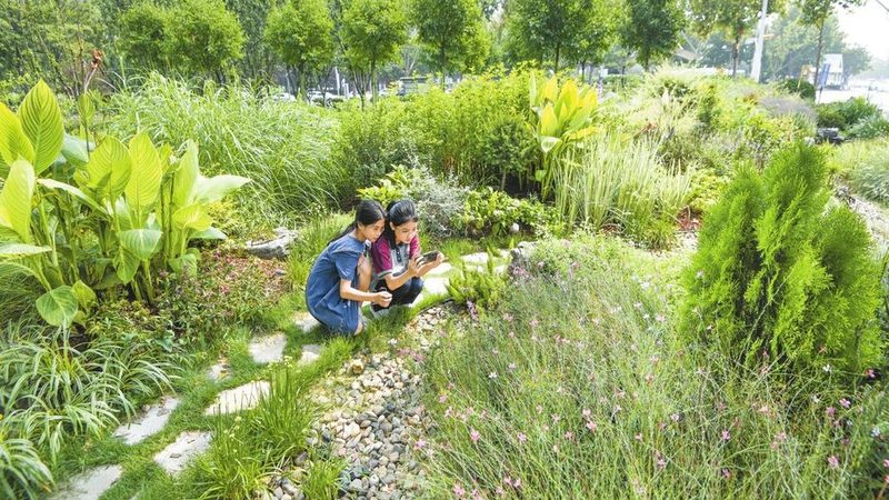 室内垂直绿化植物材质对比：材质特性与适用场景解析