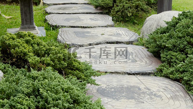 立体绿化技术规范标准解析：对比与解读