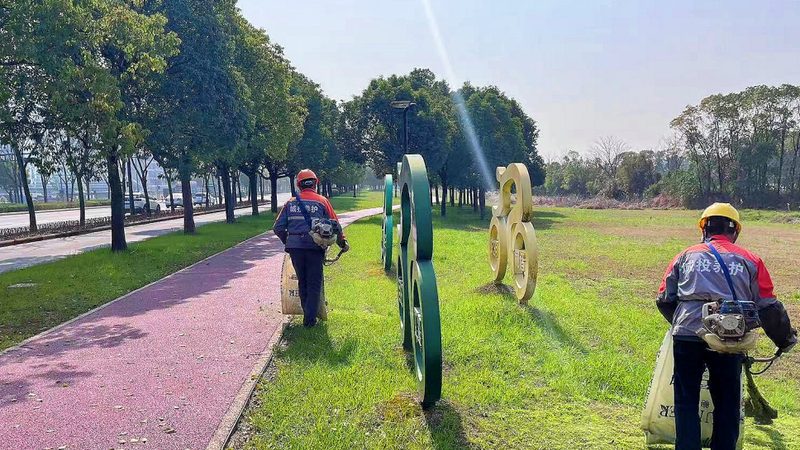 草坪铺设不是铺草皮那么简单，三个常见错误让花园白花钱