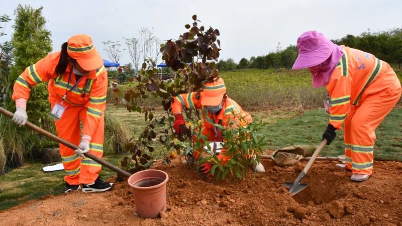 景观工程报价单编制全攻略：关键要素与注意事项