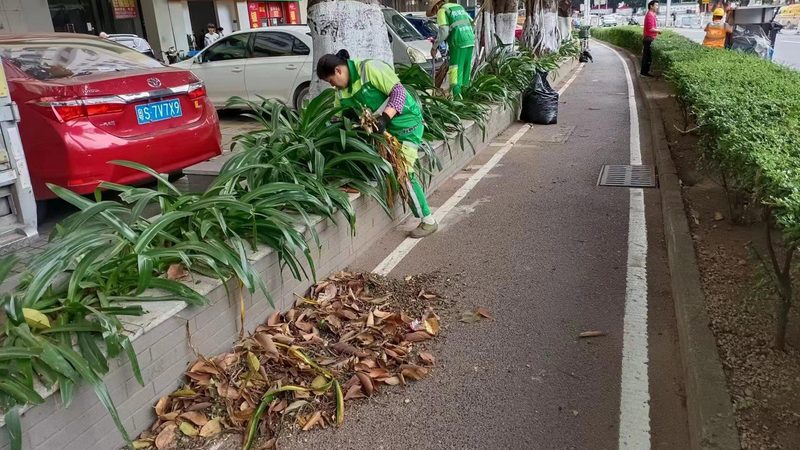 园林绿化项目招标公告撰写要点**