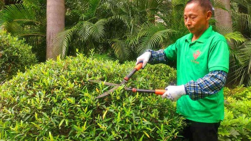 成都屋顶绿化防水卷材：关键参数与选购要点