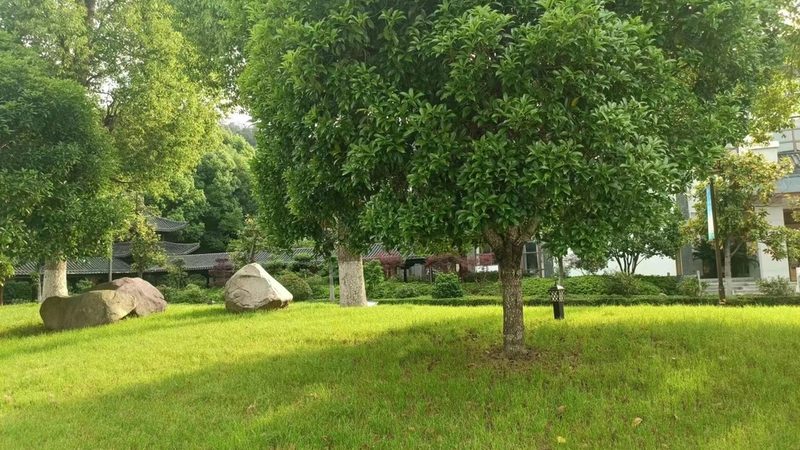 办公花卉租摆，如何制定合理报价清单？**
