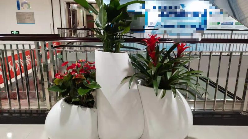 别墅花园尺寸规划定制：如何打造个性化绿色空间