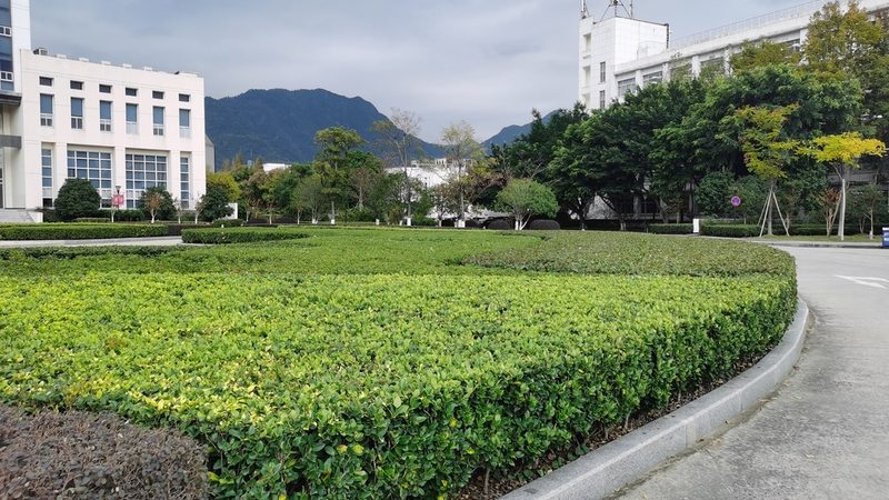 小庭院设计：规范标准下的美学与实用**