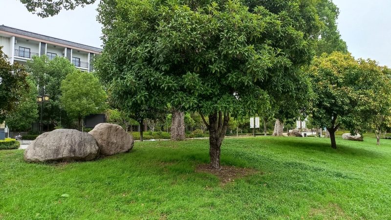成都市政园林绿化工程报价，如何合理评估？**