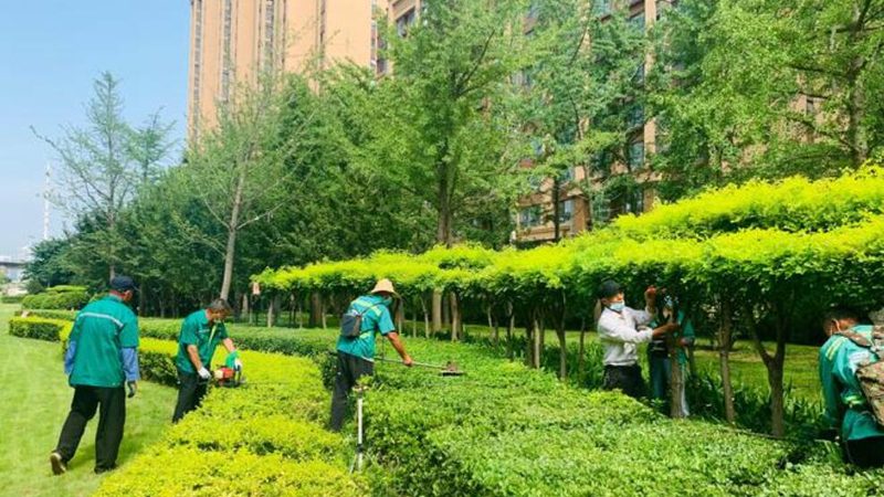 成都别墅庭院设计：标准解读与关键要素